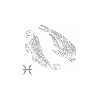 Ryby – Zboží Dáma