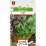 Bazalka pravá směs odrůd