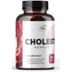Cholest Komplex Houbové Extrakty 90 kapslí 500 mg – Hledejceny.cz