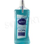 Dentamax Cool Fresh 1 l – Zbozi.Blesk.cz