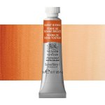 Winsor & Newton Professional Akvarelová barva 5ml Burnt Sienna – Sleviste.cz