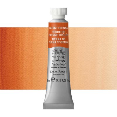 Winsor & Newton Professional Akvarelová barva 5ml Burnt Sienna – Sleviste.cz