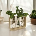 Plantbee Sada na množení rostlin Gemea černá – Hledejceny.cz