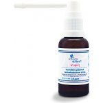 Koloidní stříbro sprej Ústní aplikátor 30 ppm 30 ml – Zboží Dáma