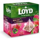 Loyd Tea Maliny a jahody ovocný čaj 20 sáčků