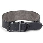 Nobleza Obojek s přezkou pro psa – Zbozi.Blesk.cz