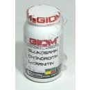 GIOM ERA Chondro L-karnitin 400 g