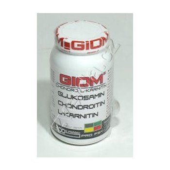 GIOM ERA Chondro L-karnitin 400 g