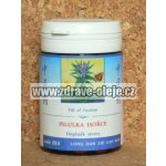 TCM Herbs Pilulka hořce 100 tablet – Hledejceny.cz