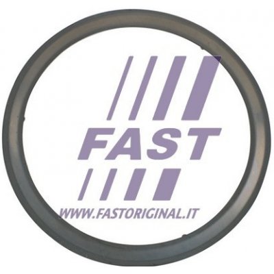 FAST FT84595 – Hledejceny.cz