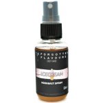 FORGOTTEN FLAVOURS HOOKBAIT spray IceCream 50 ml – Hledejceny.cz