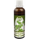 Naděje Gotu Kola Bráhmí 50 ml tinktura z bylin – Hledejceny.cz