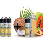 Charlies Chalk Dust Pacha Mama Shake & Vape Peach Papaya Coconut 10 ml – Zboží Dáma