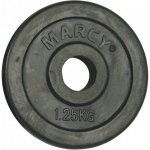 TUNTURI Kotouč pogumovaný 1,25 kg 30 mm – Zboží Mobilmania