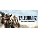 Call Of Juarez: Bound in Blood