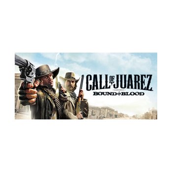 Call Of Juarez: Bound in Blood