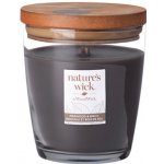 Nature's Wick Firewood&Birch 433286 g – Zboží Mobilmania