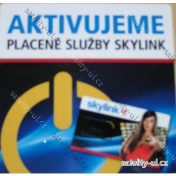 Skylink Flexi 7 na 1 měs.