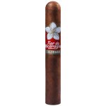 Joya de Nicaragua Flor de Nicaragua Colorado Toro – Zboží Dáma