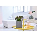 Lechuza Canto Stone Square 14 Graphite komplet – Zboží Mobilmania