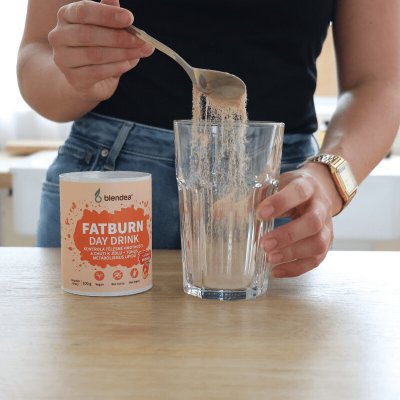 Blendea Fatburn Day Drink 100 g – Hledejceny.cz