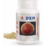 DXN Reishi Mushroom Powder prášek 22 g – Hledejceny.cz