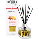 Maison Berger Paris Difuzér Parfum Berger s vůní Pomeranč a skořice 125 ml – Hledejceny.cz