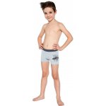 Cornette Kids Boy 701/106 Race Car 3 chlapecké boxerky šedý jasny – Hledejceny.cz