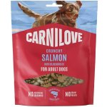 Carnilove Dog Crunchy Snack Salmon with Blueberries 200 g – HobbyKompas.cz