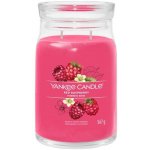 Yankee Candle Signature Red Raspberry 567 g – Hledejceny.cz