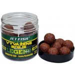 Jet Fish Rozpustné boilies Legend Range Seafood Švestka / Česnek 250 ml 24 mm – Hledejceny.cz