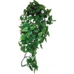 Komodo Philodendron Plant 30 cm – Zboží Mobilmania