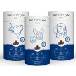 WePharm WeJoint Plus Tasty velké plemeno 30 ks – Hledejceny.cz