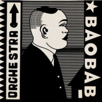 Orchestra Baobab - Tribute To Ndiouga Dieng CD