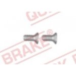 brzdové kotouče QUICK BRAKE Šroub M6x1 – Hledejceny.cz