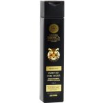 Natura Siberica Men energizující šampon na vlasy i tělo Fury of the Tiger 250 ml – Hledejceny.cz