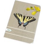 Papírny Brno Sešity školní ECONOMY A5 čtvereček 565 – Zboží Mobilmania