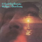 Crosby David - If I Could Only Remember My Name Vinyl LP – Hledejceny.cz