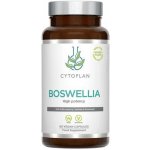 Cytoplan Boswellia kloubní výživa 400 mg 60 vegan kapslí – Hledejceny.cz