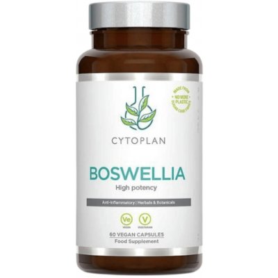 Cytoplan Boswellia kloubní výživa 400 mg 60 vegan kapslí – Hledejceny.cz