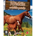 Hřebčín U Bílého potoka – Zboží Dáma