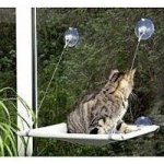 Karlie odpočívadlo na okno 51,5 x 31 x 2,5 cm – Zbozi.Blesk.cz