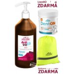 VITAR ArtiVit Sirup 1000 ml DentON 100 g kartáč – Hledejceny.cz