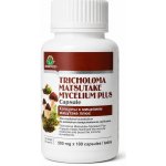Green World Matsutake Plus 100 kapslí – Hledejceny.cz