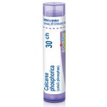 CALCAREA PHOSPHORICA POR 30CH GRA 1X4G – Hledejceny.cz
