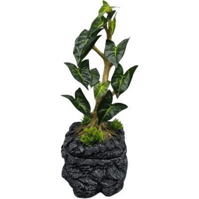 Repto Water Dripping Tree 30 x 24 x 51 cm – Zboží Dáma
