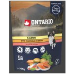 Ontario Adult Salmon with Vegetable in Broth 300 g – Hledejceny.cz