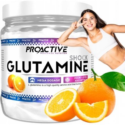 ProActive Glutamine 500 g – Hledejceny.cz