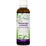 Dr. Popov Bylinné kapky Právenka latnatá 50 ml – Hledejceny.cz