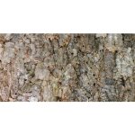 Lucky Reptile New Design Korkové pozadí drsné 90x60 cm – Zboží Dáma